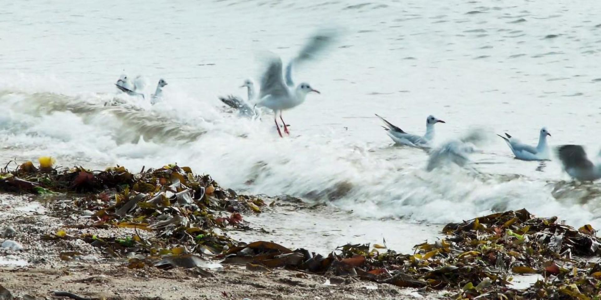 Couverture du film Il était un petit navire