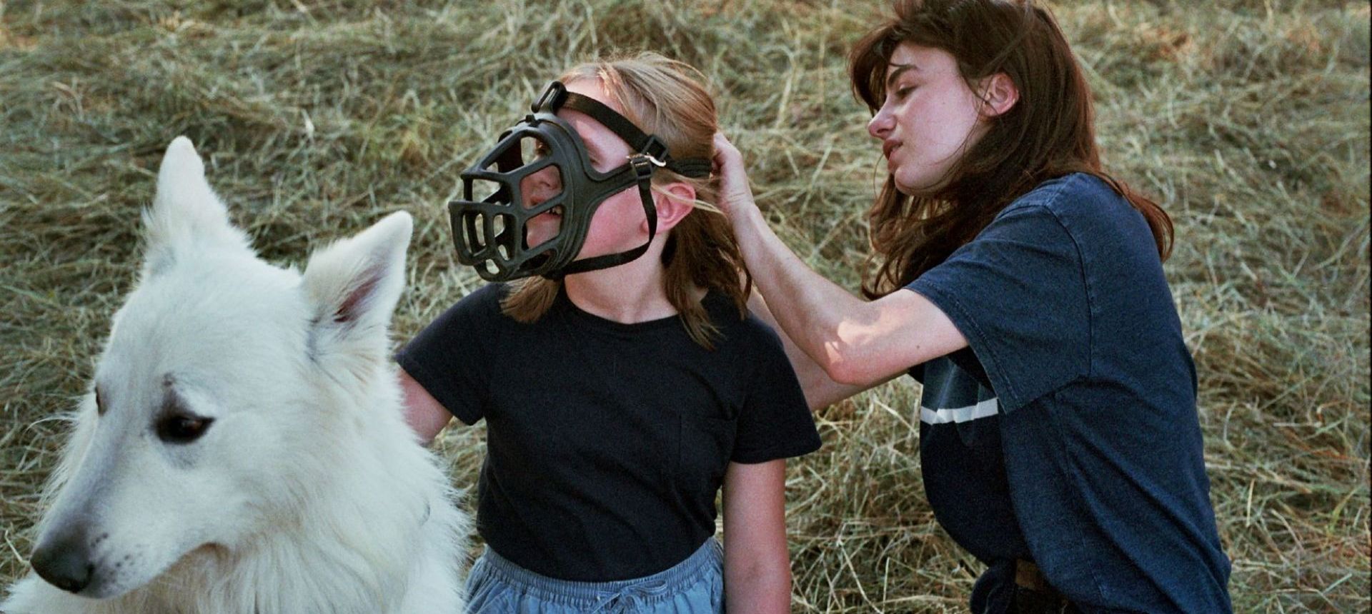 Couverture du film Inexorable