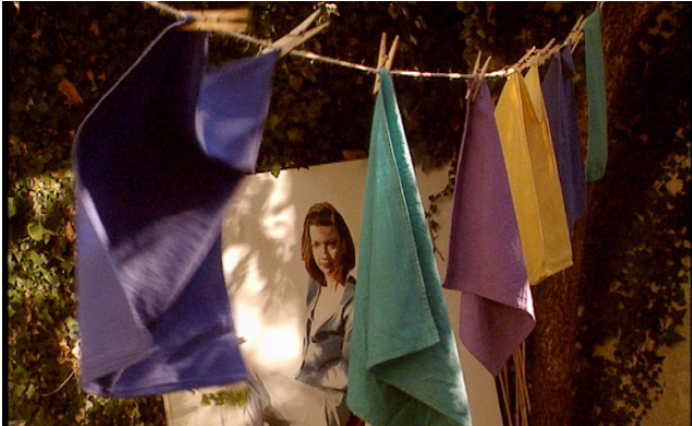 Couverture du film Le Jardin