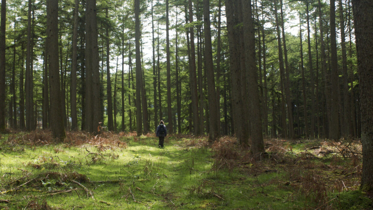 Couverture du film Je ne suis qu'un corps