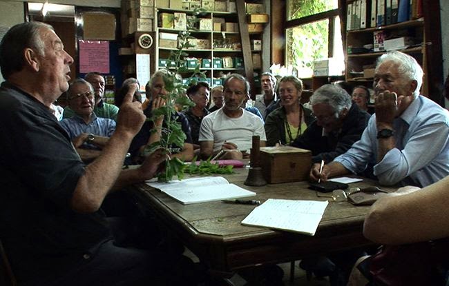 Couverture du film La Jungle étroite