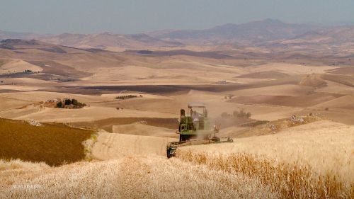 Couverture du film Les Liberterres