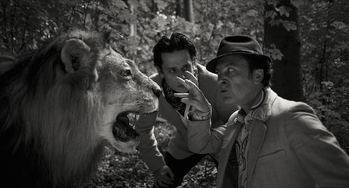 Couverture du film Le lion belge