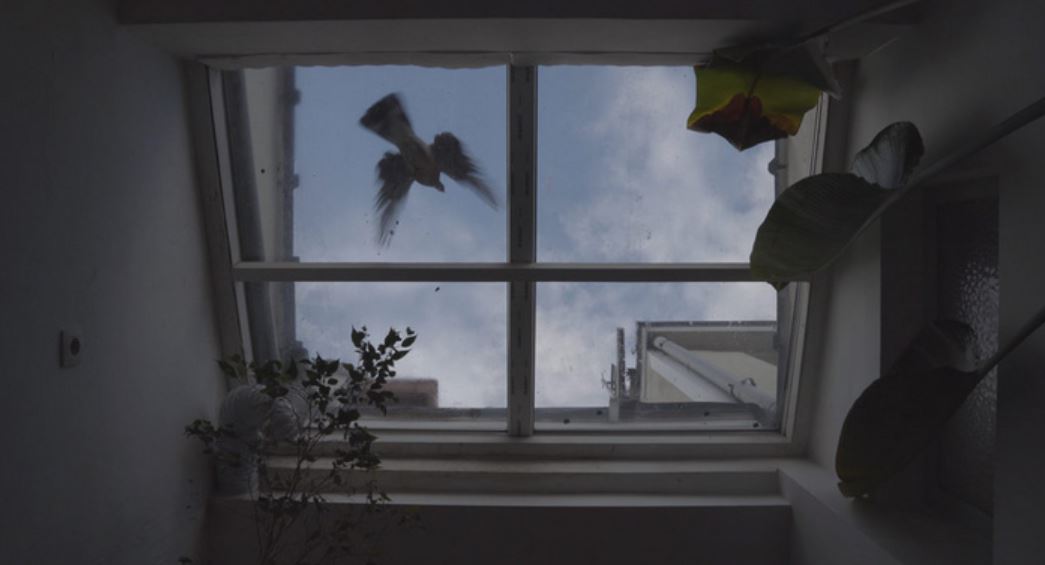 Couverture du film Locus Cordis