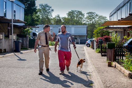 Couverture du film Lucky