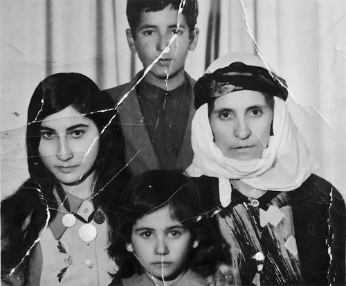 Couverture du film Les Lunes rousses