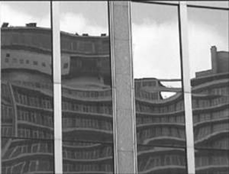 Couverture du film Les marches du palais