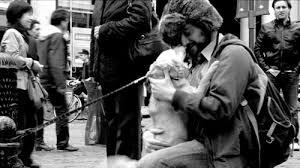 Couverture du film Mauvaise Lune