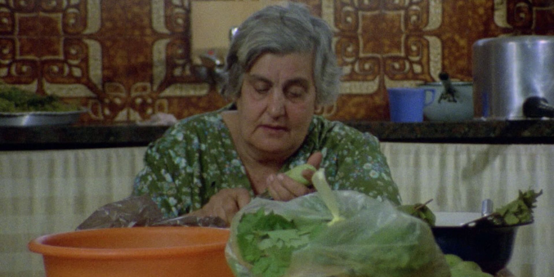 Couverture du film La Mémoire fertile