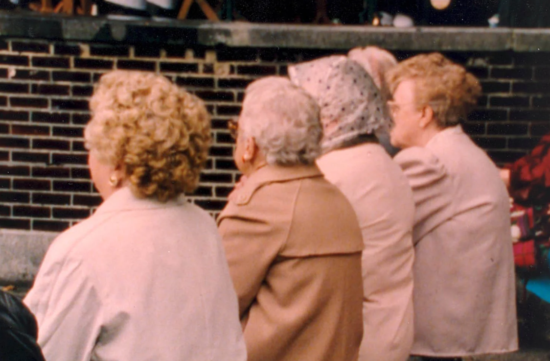 Couverture du film Mésanges aux boucles grises