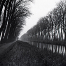 Couverture du film Mijn Broer