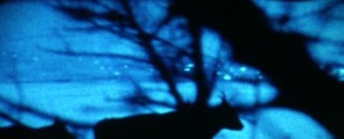 Couverture du film Miramen