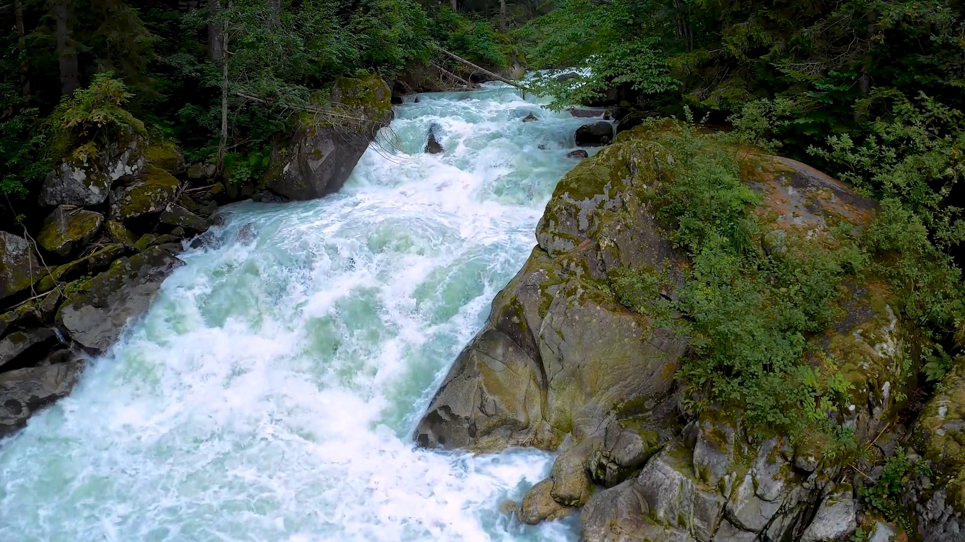 Couverture du film Moins & mieux