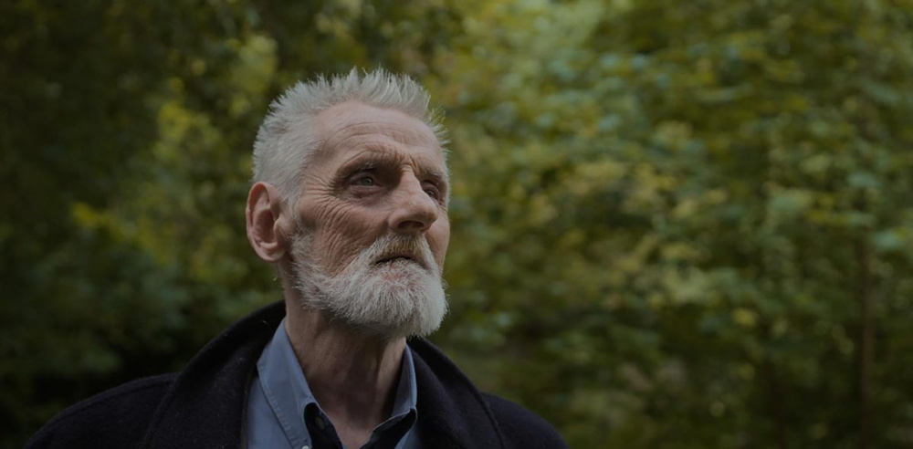 Couverture du film Monstres de poussière