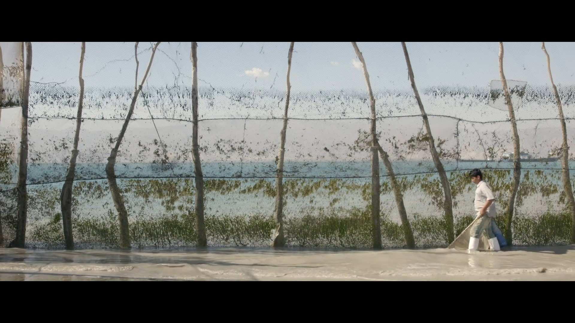 Couverture du film Moshta