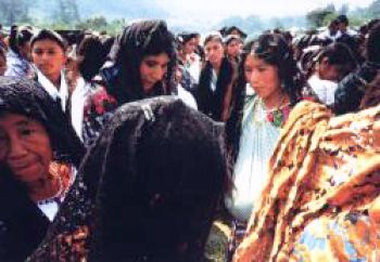 Couverture du film Le Mur de Taniperla