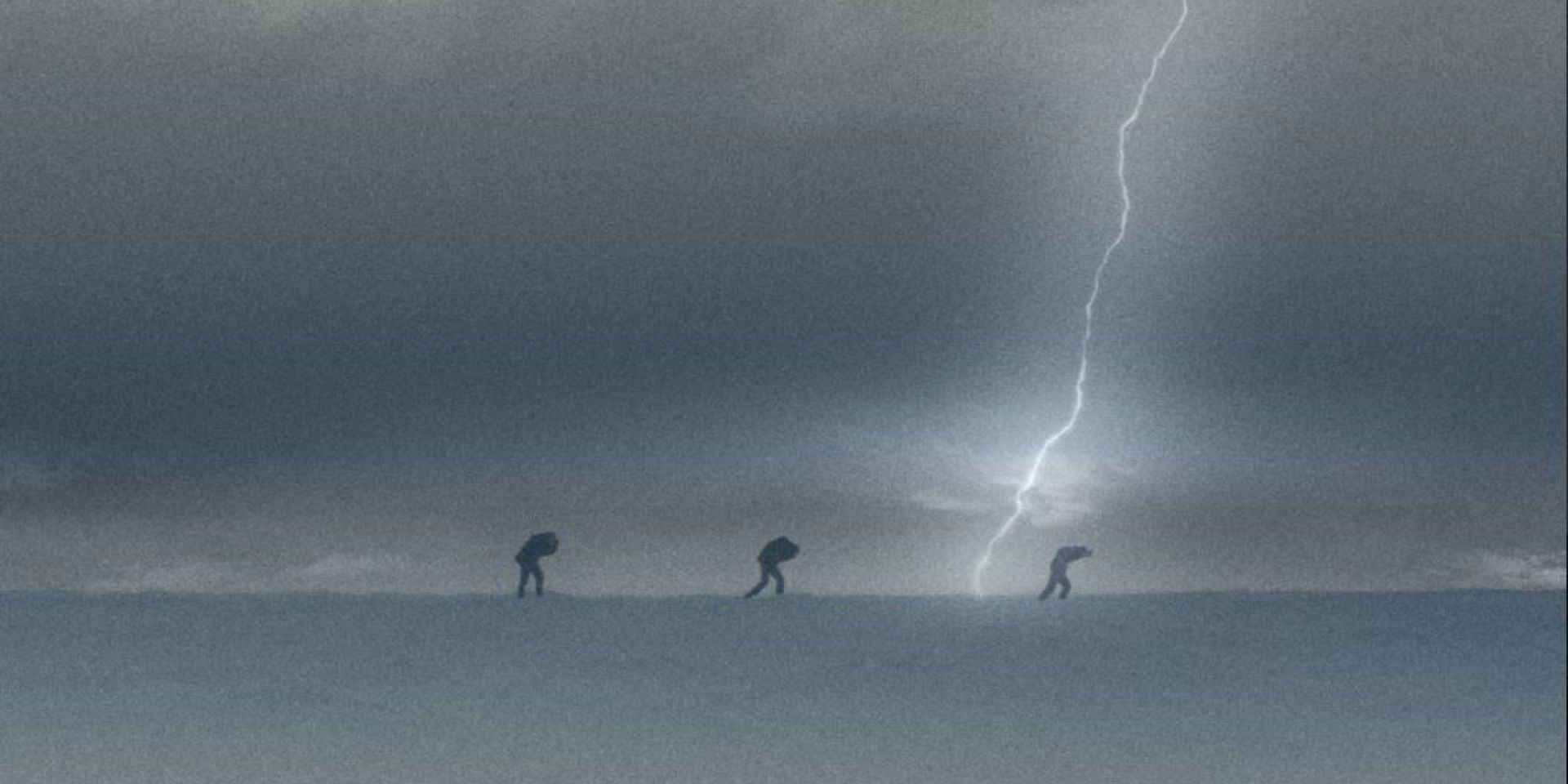 Couverture du film Noisetrain