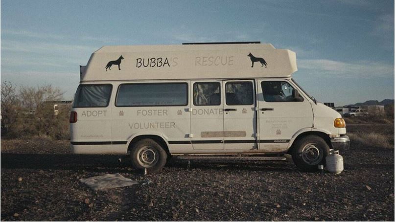 Couverture du film Nomad solitude