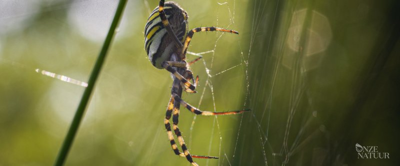 Couverture du film Notre nature