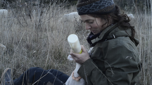 Couverture du film Nous la mangerons, c'est la moindre des choses