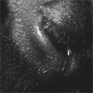 Couverture du film Odile, Fille de lumière