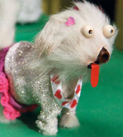 Couverture du film Oh my dog!