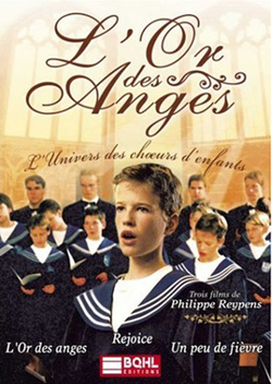 Couverture du film L'Or des Anges
