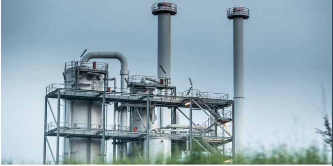 Couverture du film l'Or vert