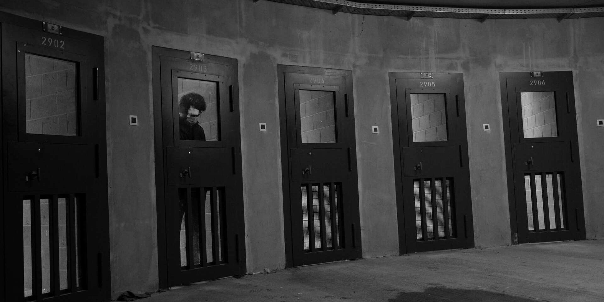 Couverture du film La Peine