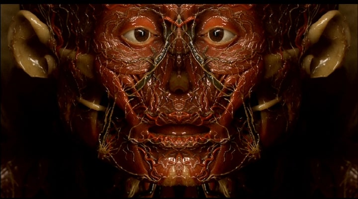 Couverture du film Petite anatomie de l'image