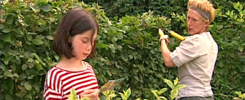 Couverture du film Petites filles