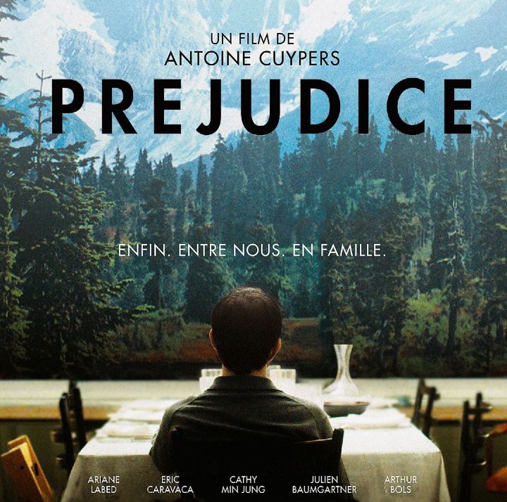 Couverture du film Préjudice