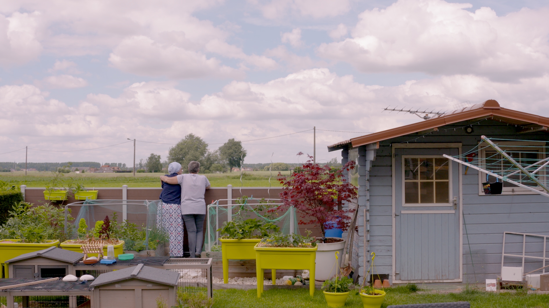 Couverture du film Le prix de la déraison