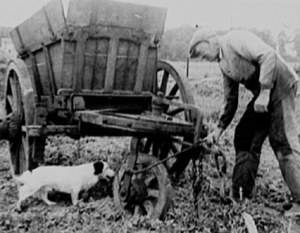 Couverture du film Quand chacun apporte sa part