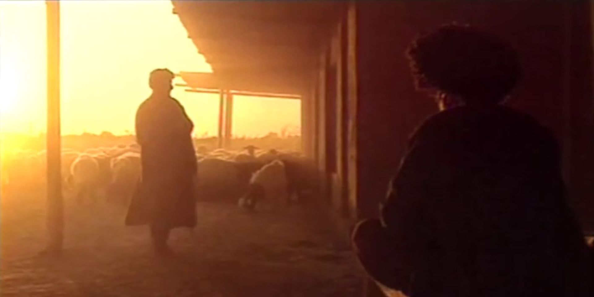 Couverture du film Que tout disparaisse !