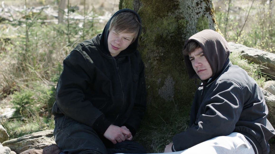 Couverture du film Rapaces