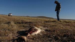 Couverture du film Les Recommencements