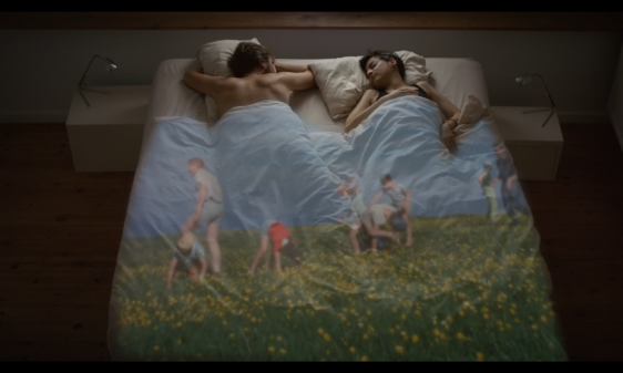 Couverture du film Le Rêve des cigognes