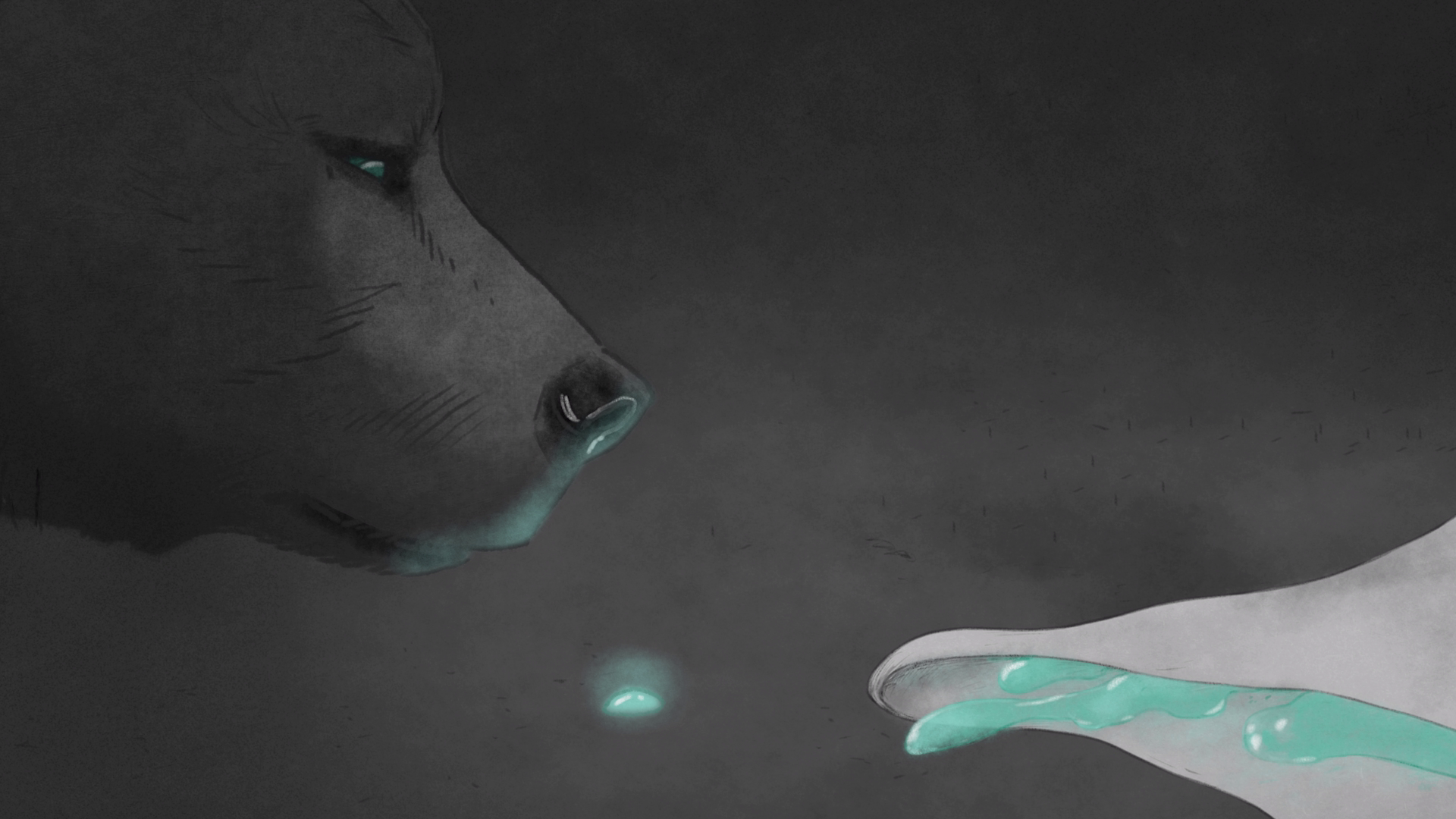 Couverture du film La riviere des ourses