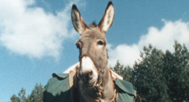 Couverture du film Rond est le monde