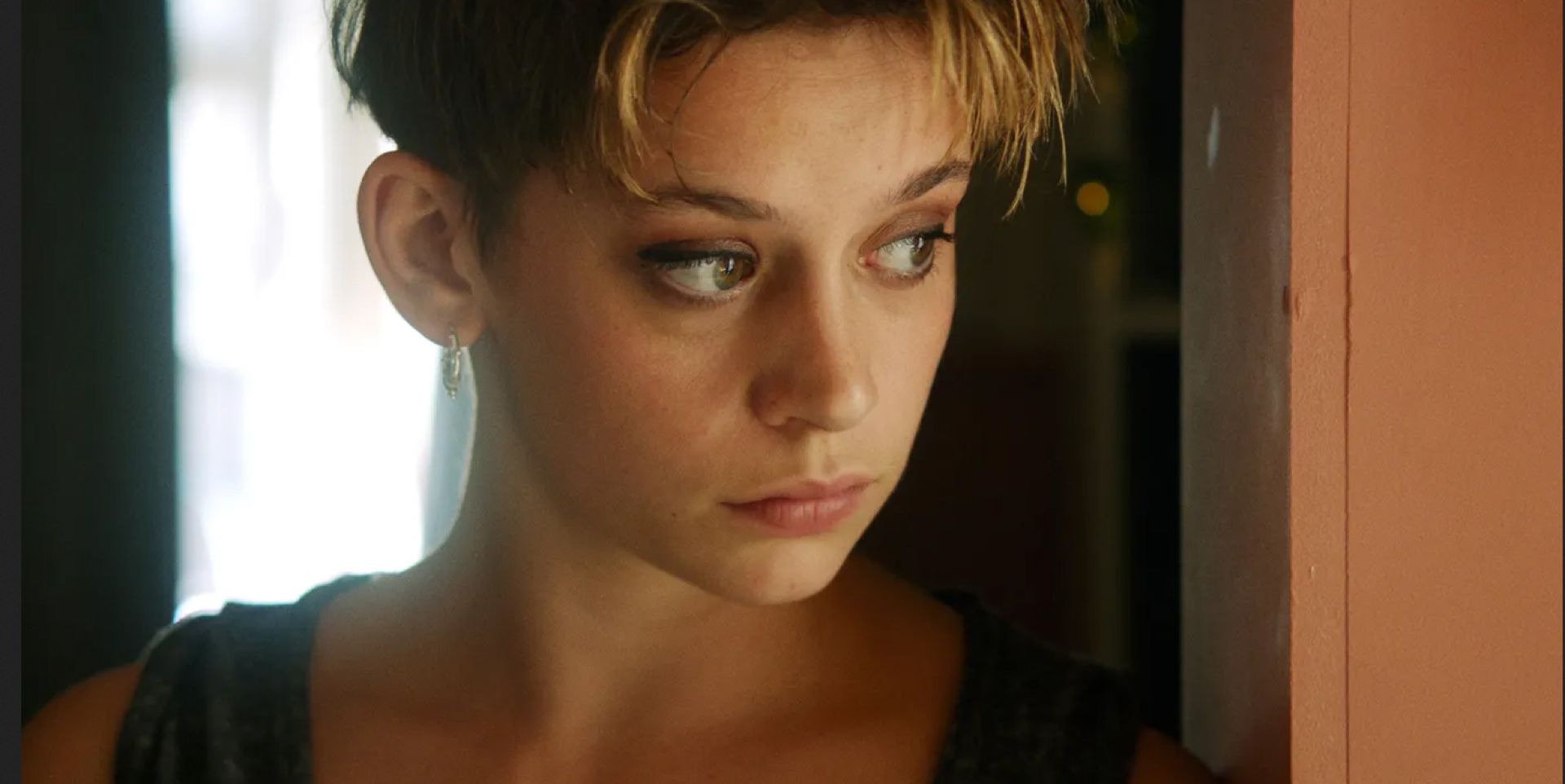 Couverture du film La Ruche