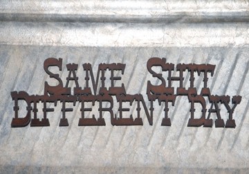 Couverture du film Same shit, different day