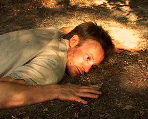 Couverture du film Se fondre