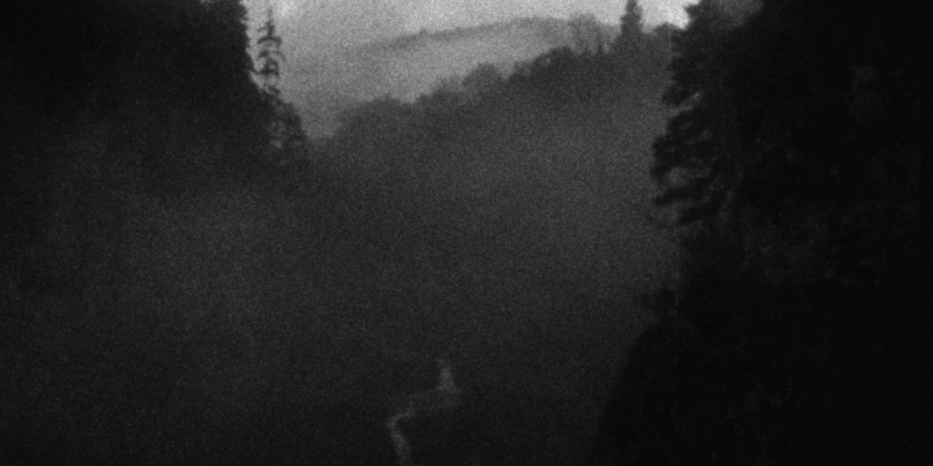 Couverture du film Signal GPS perdu