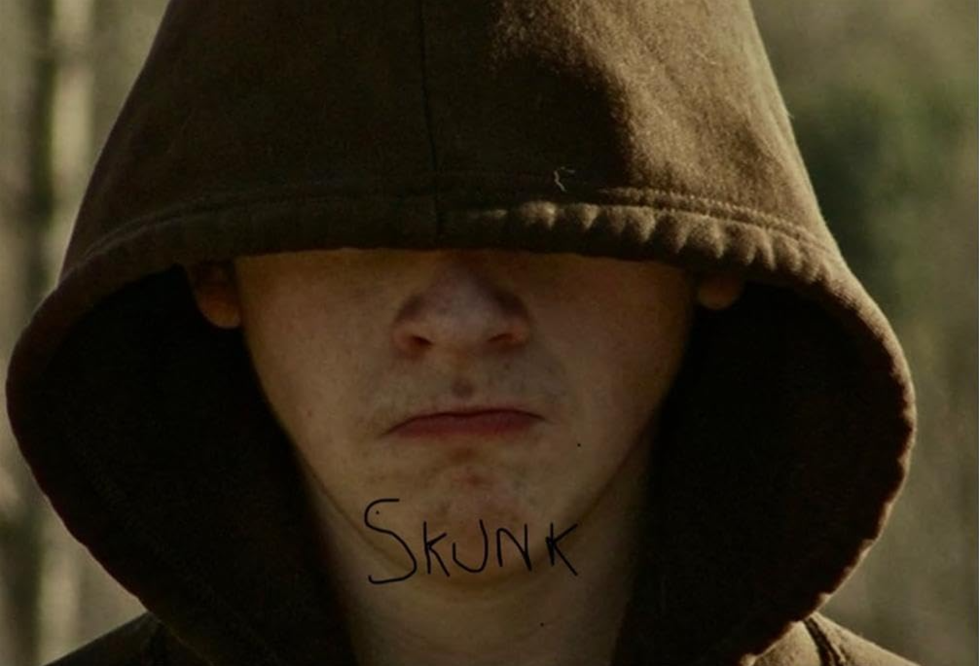 Couverture du film Skunk