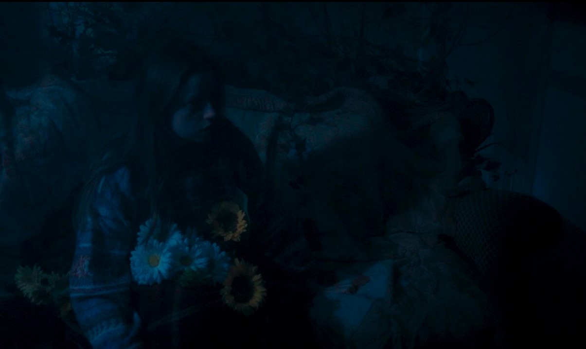 Couverture du film Souvenirs de la lune