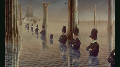 Couverture du film Taxandria