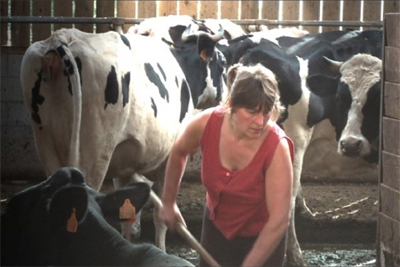 Couverture du film La terre amoureuse