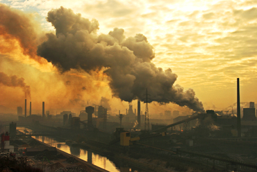 Couverture du film La Terre promise