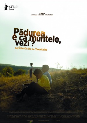 Couverture du film The forest is like the mountains